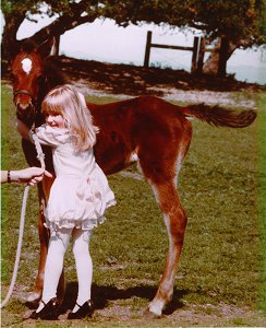 Laine_Pony